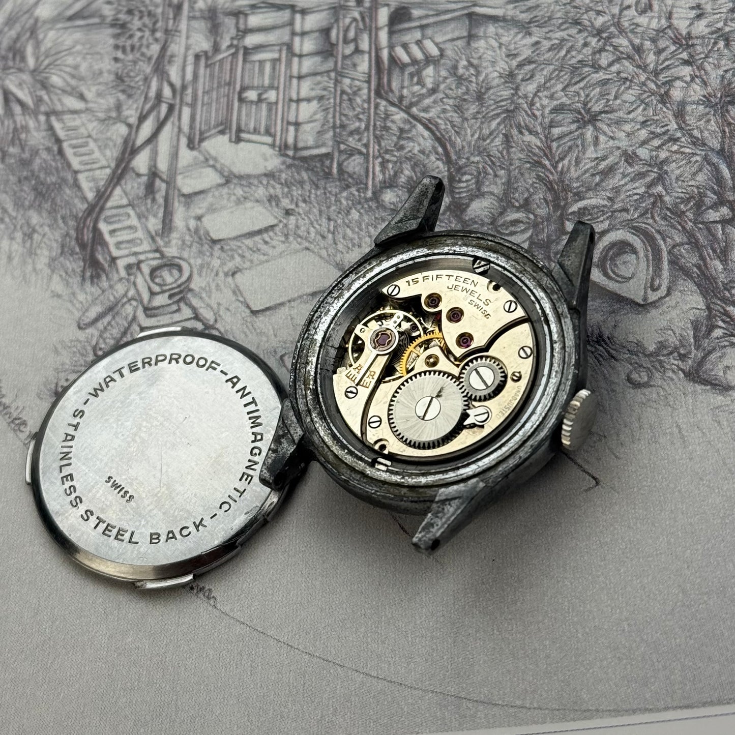Phenix Antimagnetic