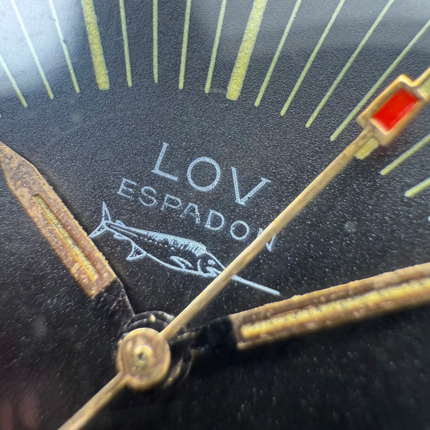 Lov Espadon Skin Diver